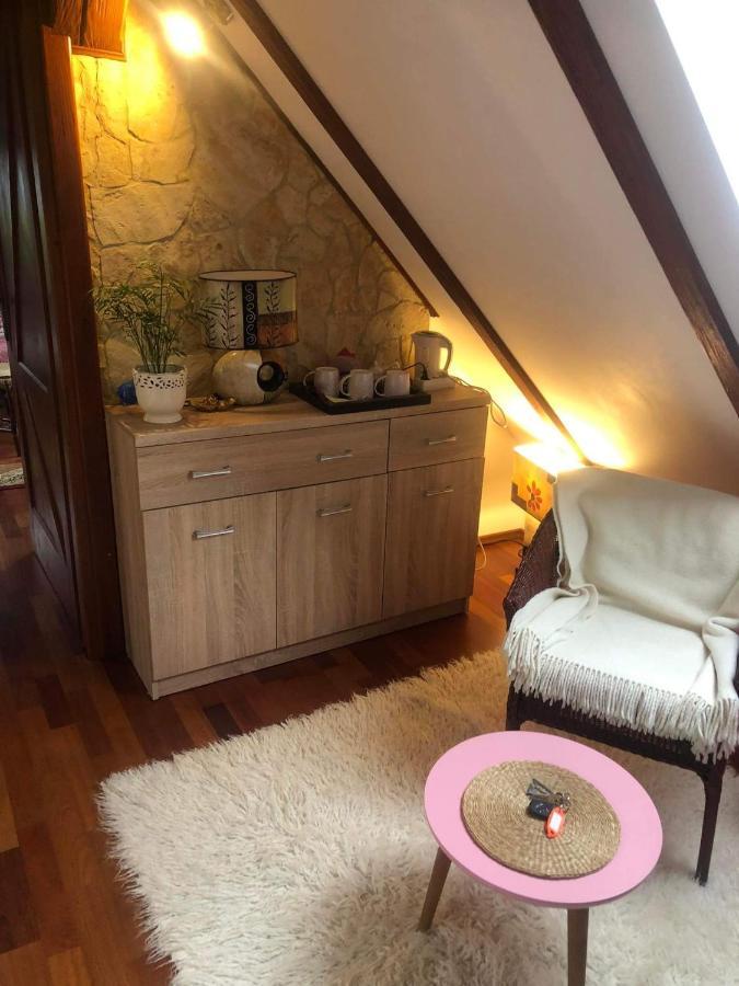 Piwniczna-Zdroj Willa Nad Popradem Bed & Breakfast エクステリア 写真