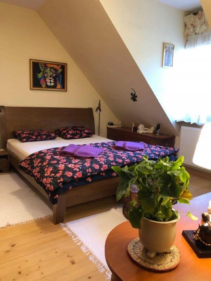 Piwniczna-Zdroj Willa Nad Popradem Bed & Breakfast エクステリア 写真