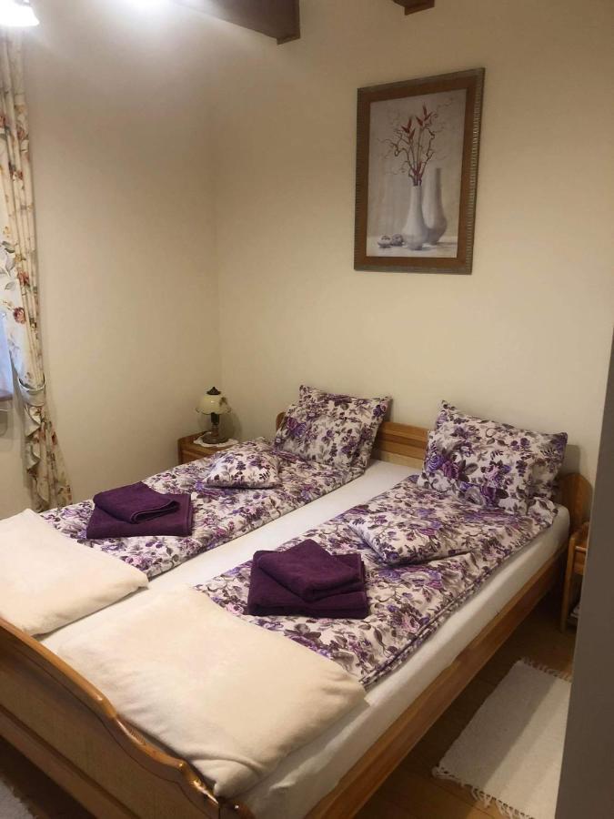 Piwniczna-Zdroj Willa Nad Popradem Bed & Breakfast エクステリア 写真