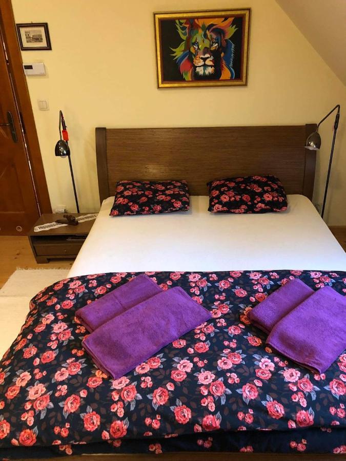 Piwniczna-Zdroj Willa Nad Popradem Bed & Breakfast エクステリア 写真