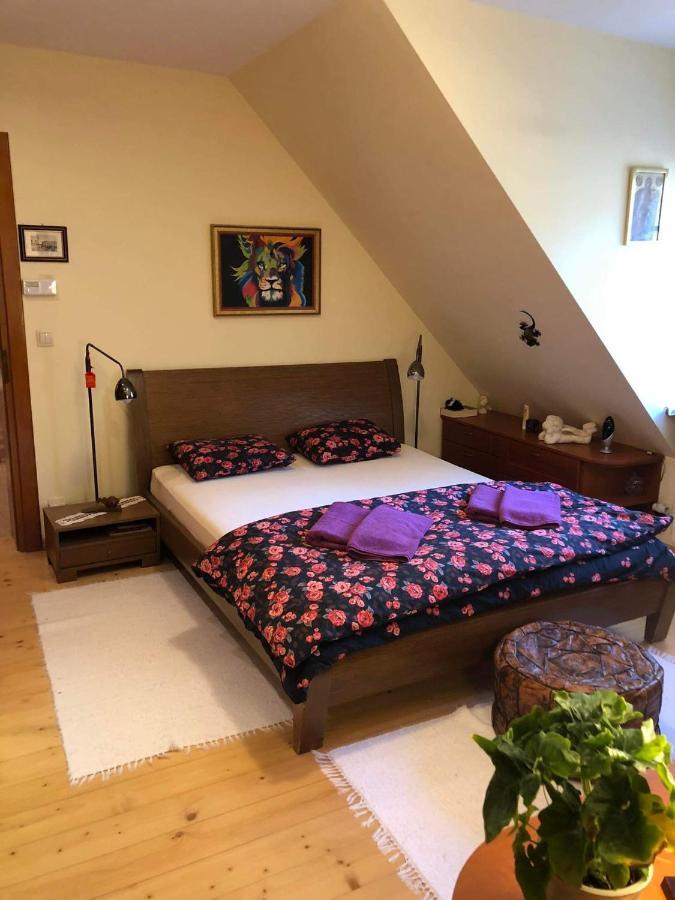 Piwniczna-Zdroj Willa Nad Popradem Bed & Breakfast エクステリア 写真