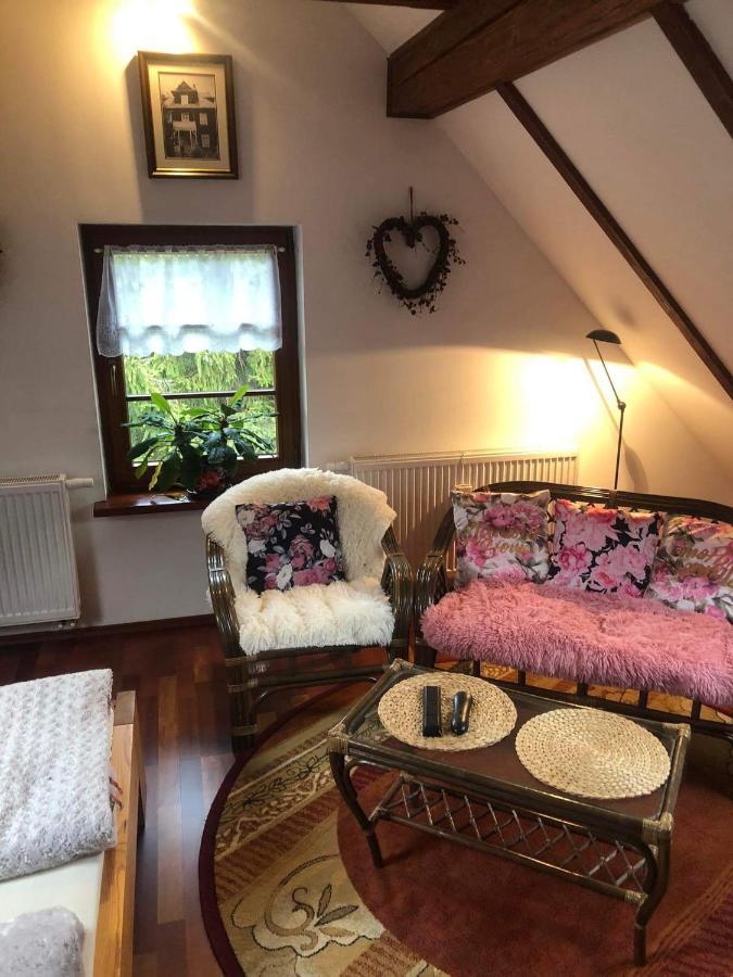 Piwniczna-Zdroj Willa Nad Popradem Bed & Breakfast エクステリア 写真