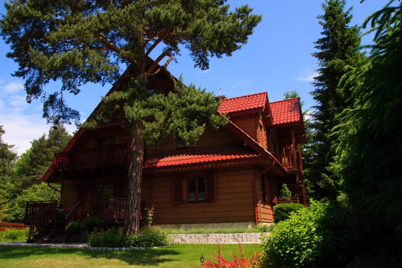 Piwniczna-Zdroj Willa Nad Popradem Bed & Breakfast エクステリア 写真