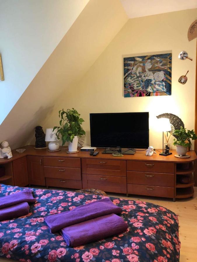 Piwniczna-Zdroj Willa Nad Popradem Bed & Breakfast エクステリア 写真