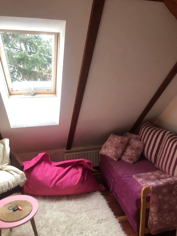 Piwniczna-Zdroj Willa Nad Popradem Bed & Breakfast エクステリア 写真