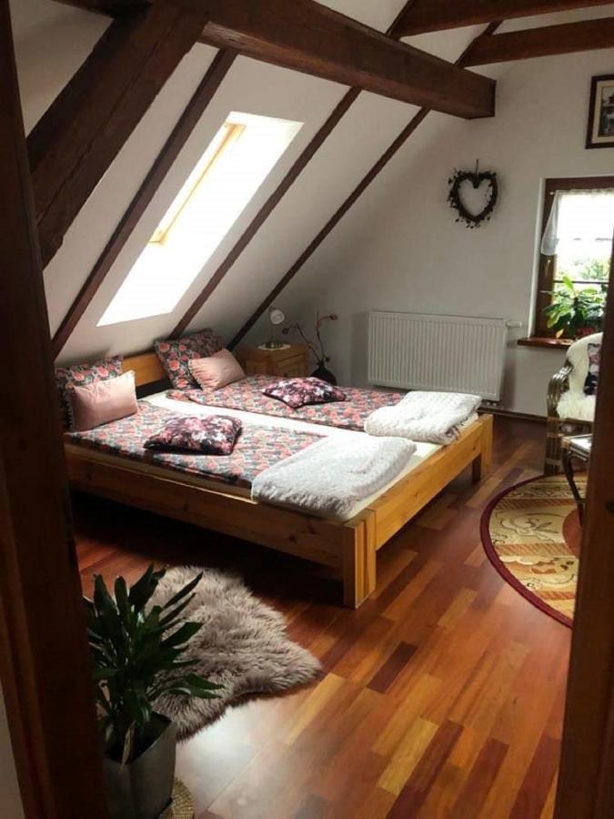 Piwniczna-Zdroj Willa Nad Popradem Bed & Breakfast エクステリア 写真