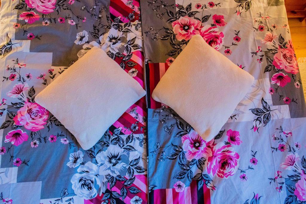 Piwniczna-Zdroj Willa Nad Popradem Bed & Breakfast エクステリア 写真