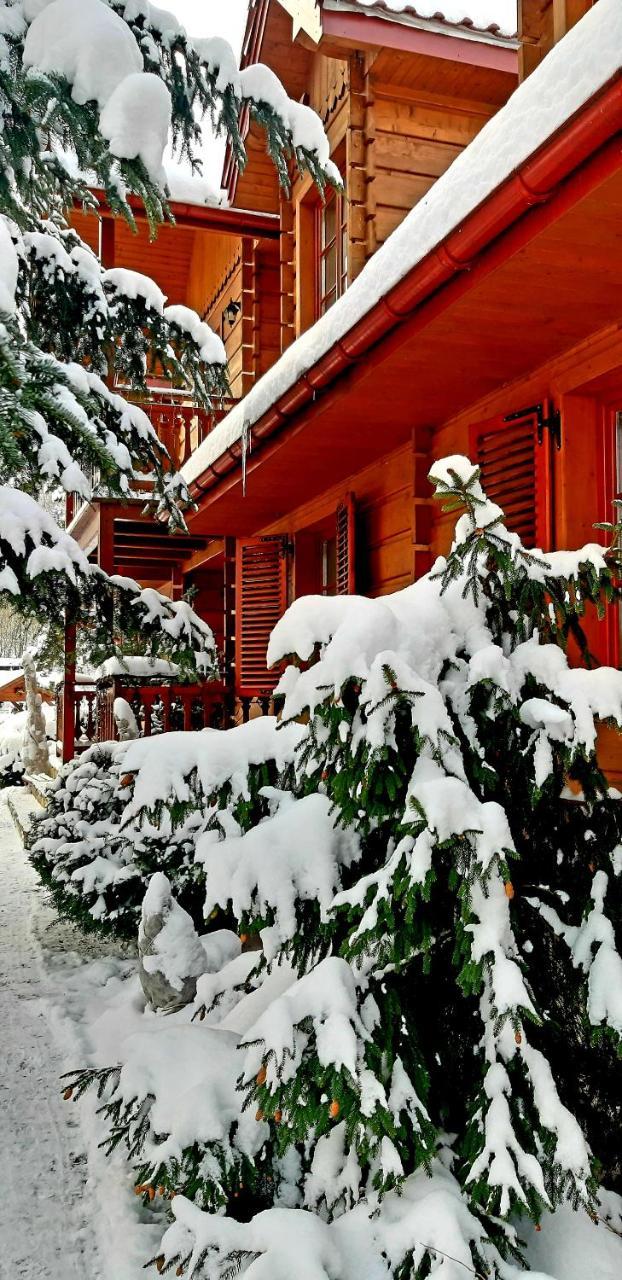 Piwniczna-Zdroj Willa Nad Popradem Bed & Breakfast エクステリア 写真